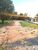 Terreno, 2100 m² - Foto 1