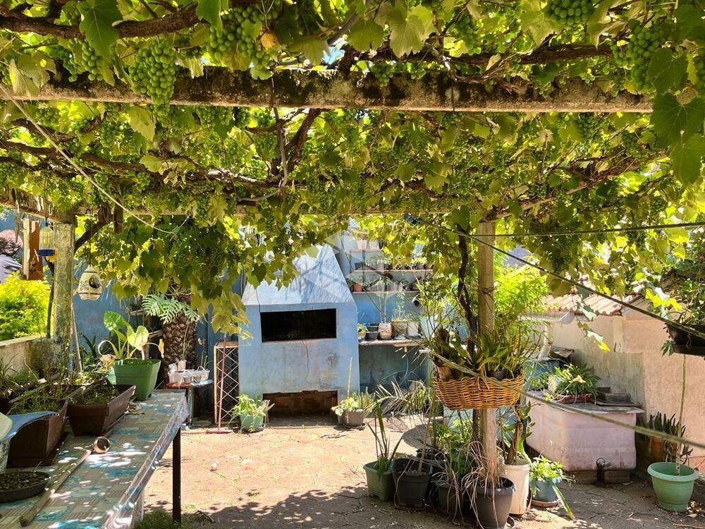 Casa, 4 quartos - Foto 7