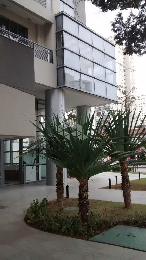 Sala-Conjunto, 38 m² - Foto 2