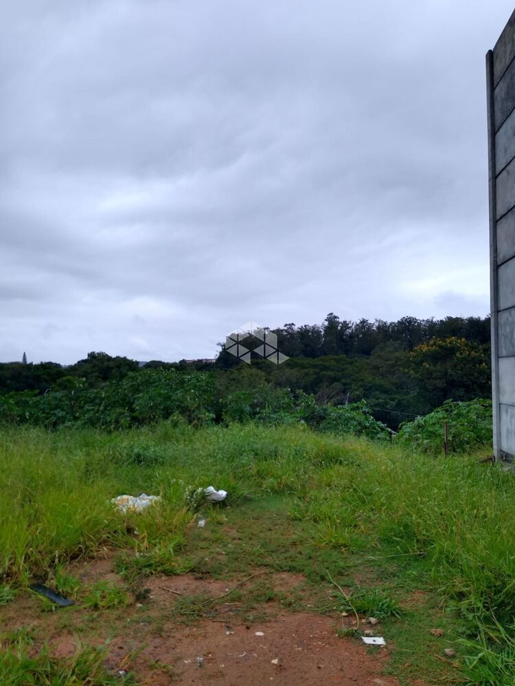 Terreno, 300 m² - Foto 3