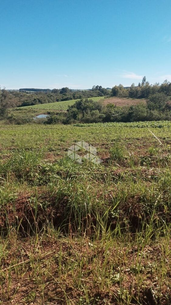 Chácara, 10000 m² - Foto 1