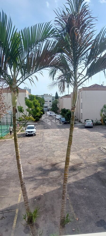 Apartamento, 4 quartos, 74 m² - Foto 4