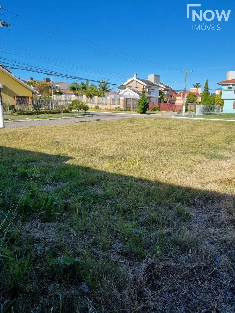 Terreno, 442 m² - Foto 3