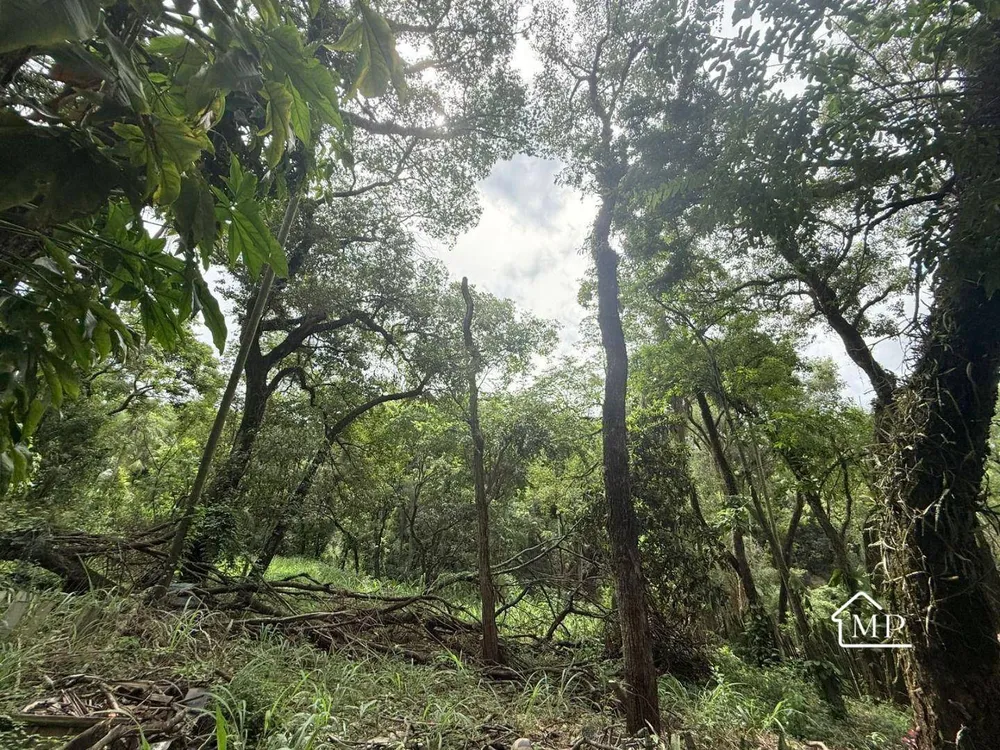 Loteamento e Condomínio, 2652 m² - Foto 4