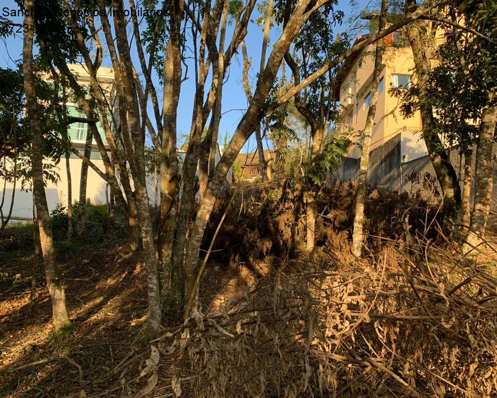 Terreno, 300 m² - Foto 1