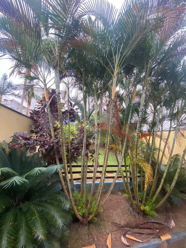 Sobrado, 4 quartos, 300 m² - Foto 18