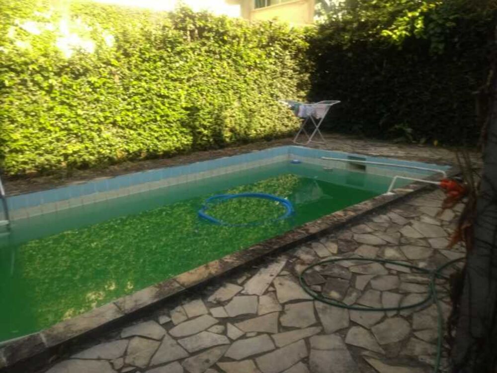 Terreno - Foto 4