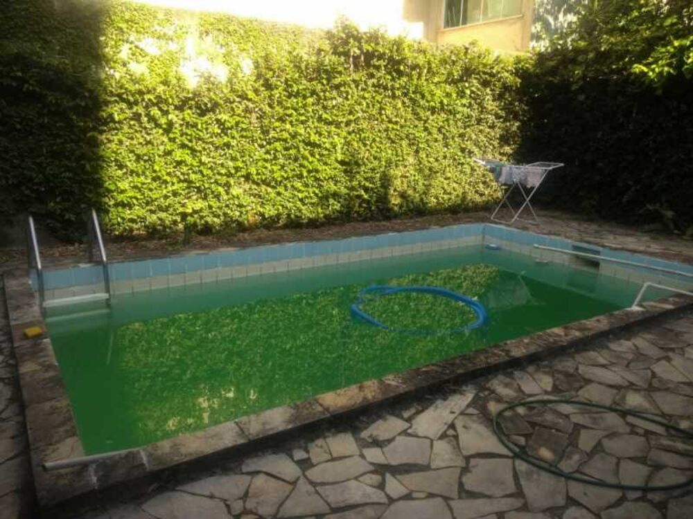 Terreno - Foto 5