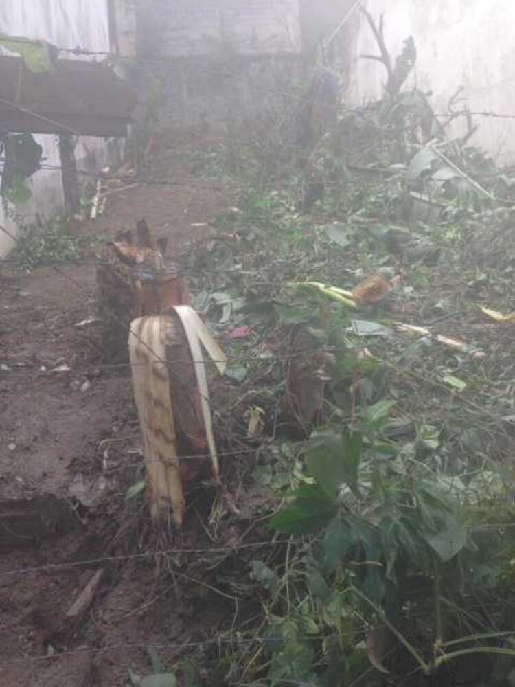 Terreno, 250 m² - Foto 4