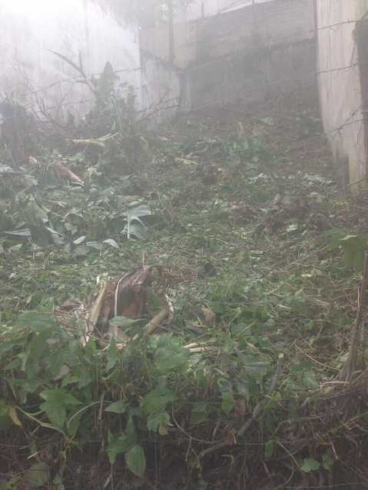 Terreno, 250 m² - Foto 3