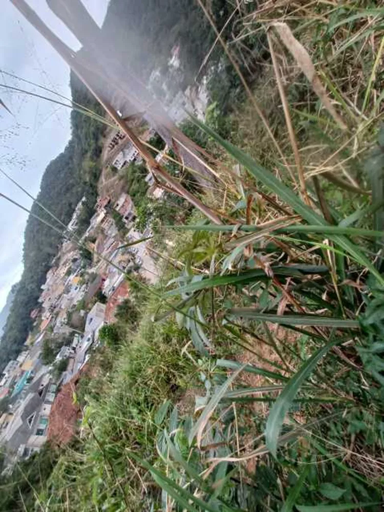 Terreno, 180 m² - Foto 18