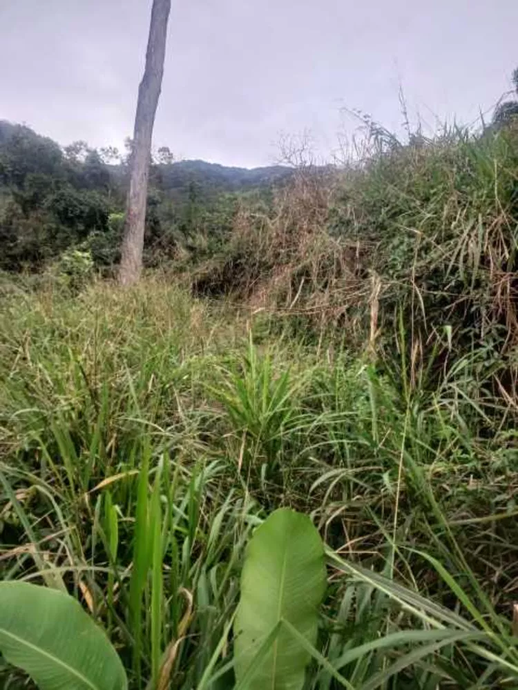 Terreno, 180 m² - Foto 6