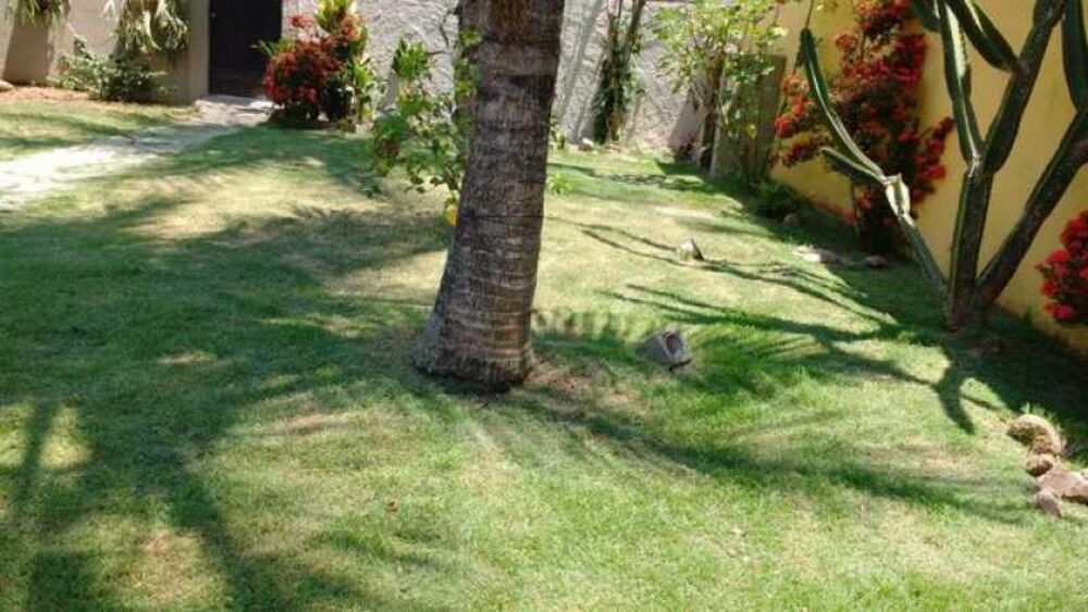 Terreno, 427 m² - Foto 5