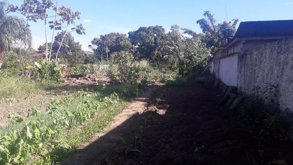 Terreno - Foto 6