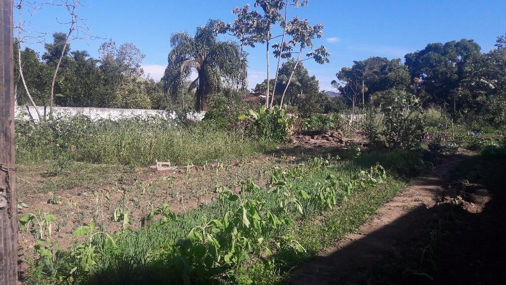 Terreno - Foto 3
