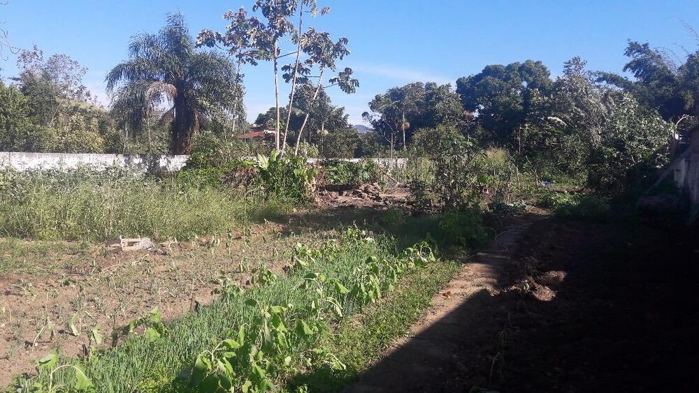 Terreno - Foto 2
