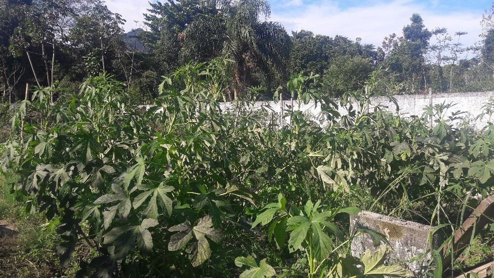 Terreno - Foto 8