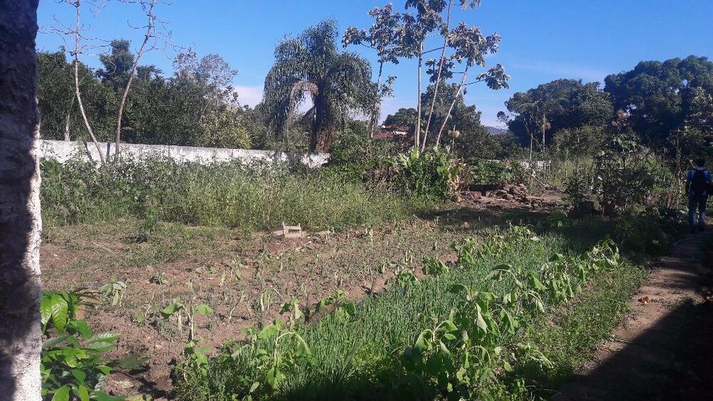 Terreno - Foto 10