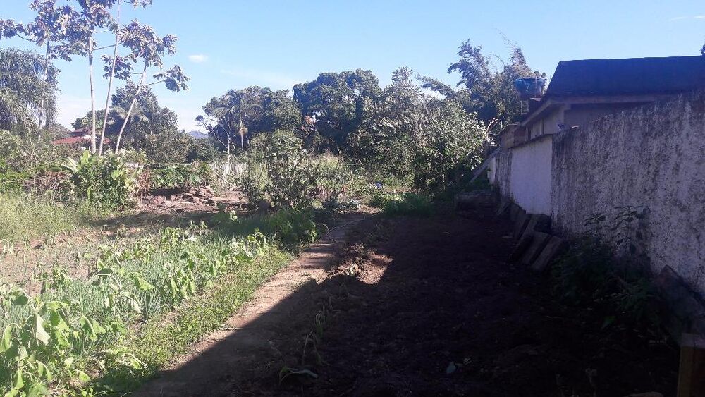 Terreno - Foto 1