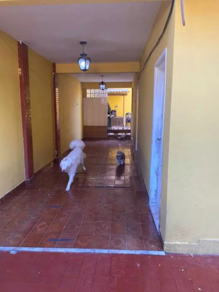 Casa, 5 quartos, 180 m² - Foto 7