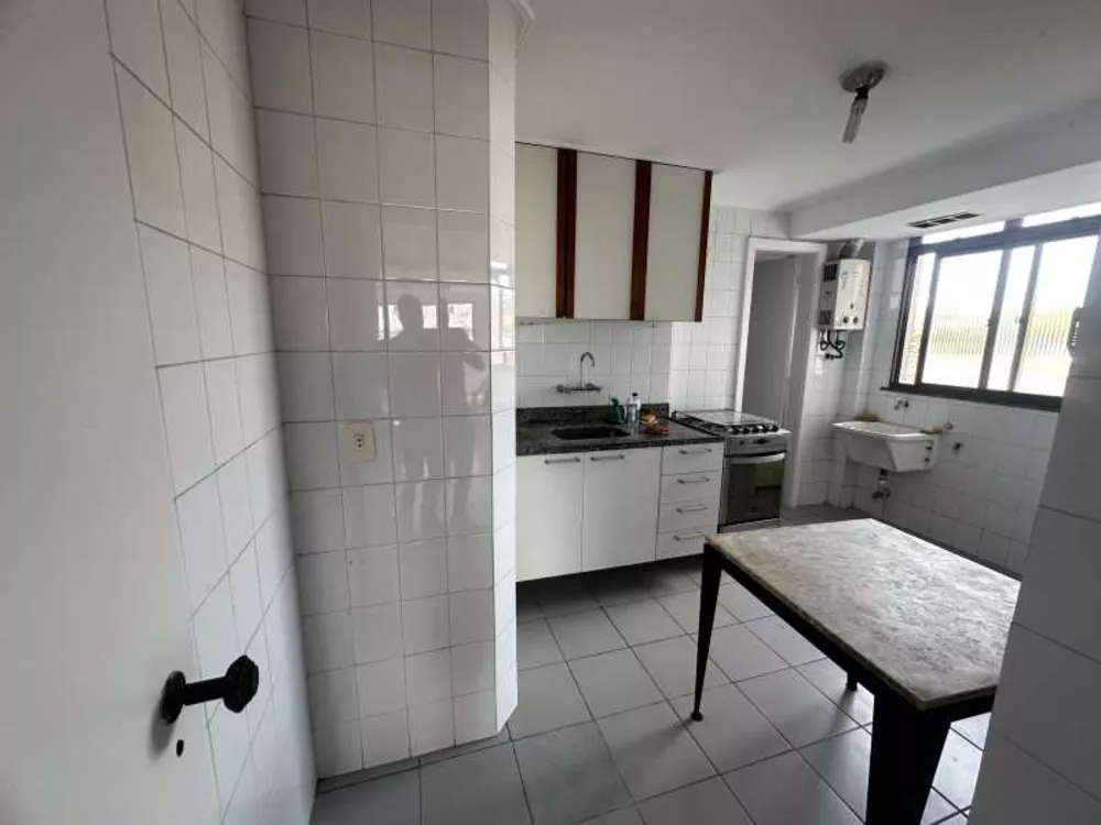 Cobertura, 3 quartos, 248 m² - Foto 9