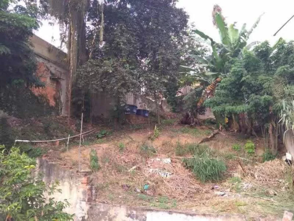 Casa, 3 quartos, 500 m² - Foto 10