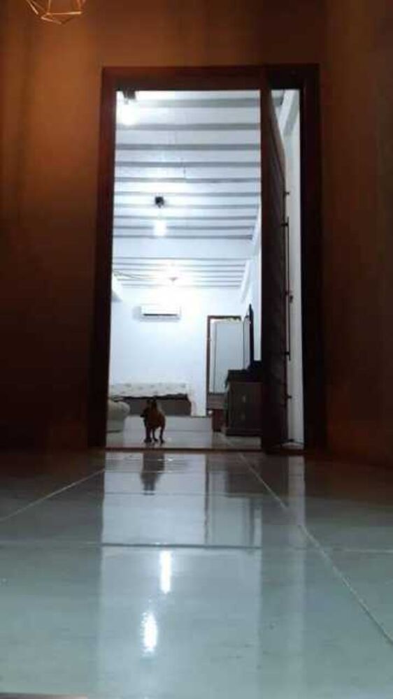 Casa, 3 quartos, 500 m² - Foto 12