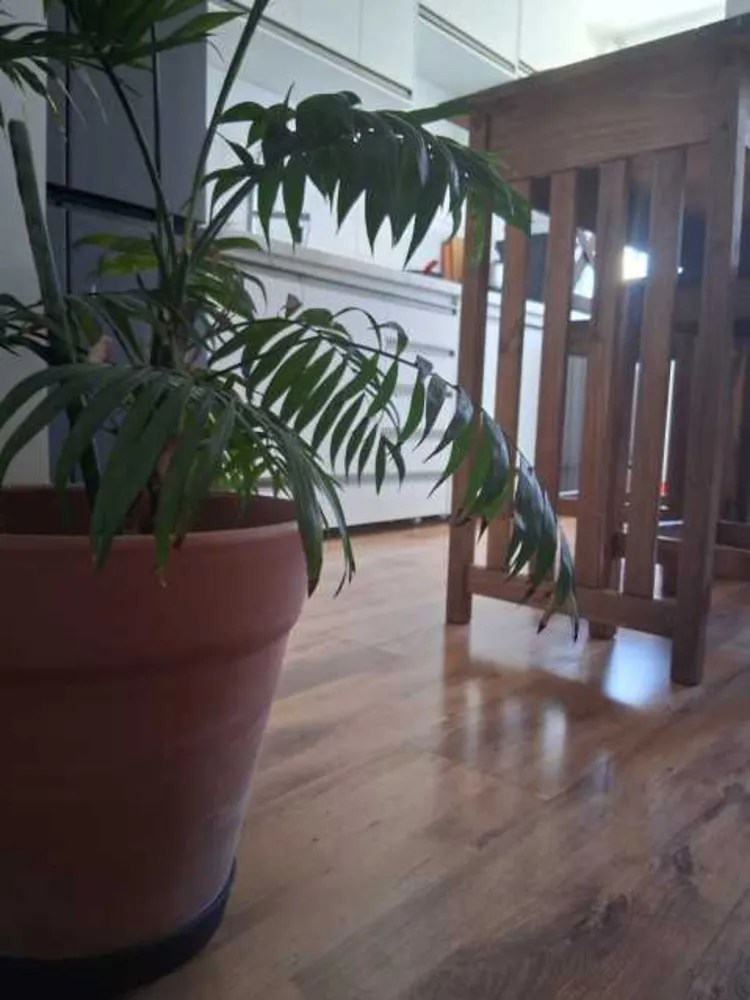 Apartamento, 2 quartos, 52 m² - Foto 12