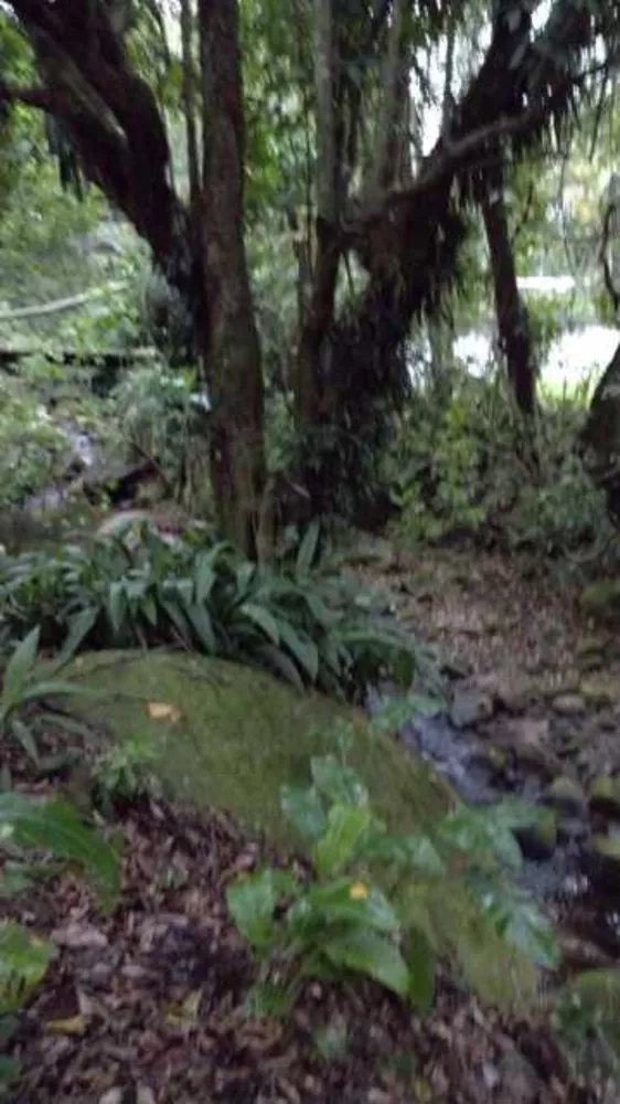 Apartamento, 1 quarto, 33 m² - Foto 21