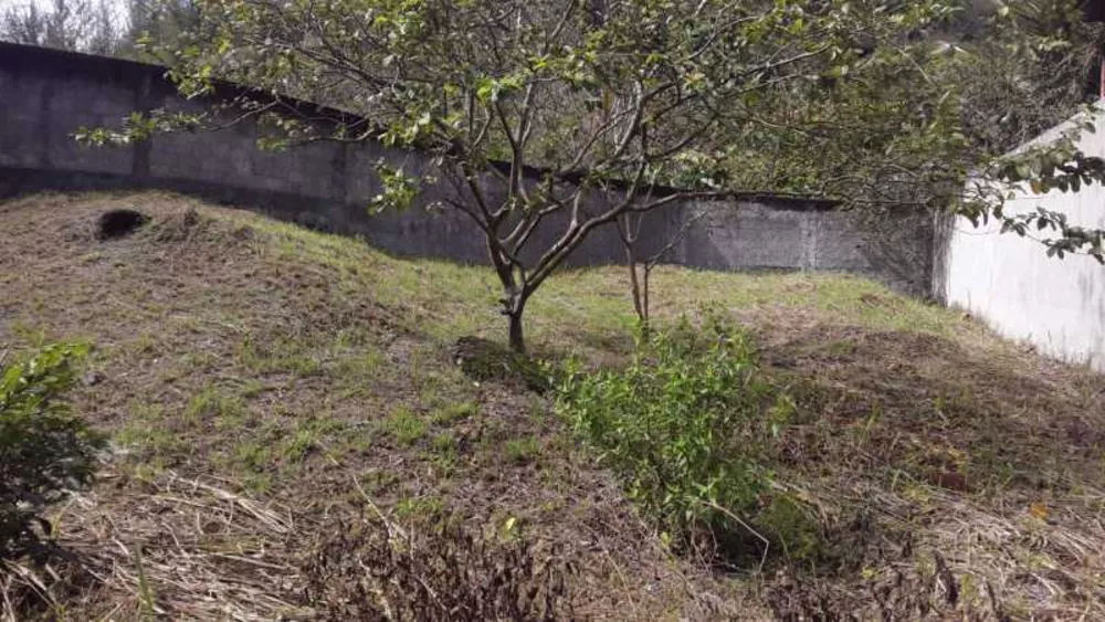 Terreno, 530 m² - Foto 3