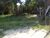 Terreno - Foto 2