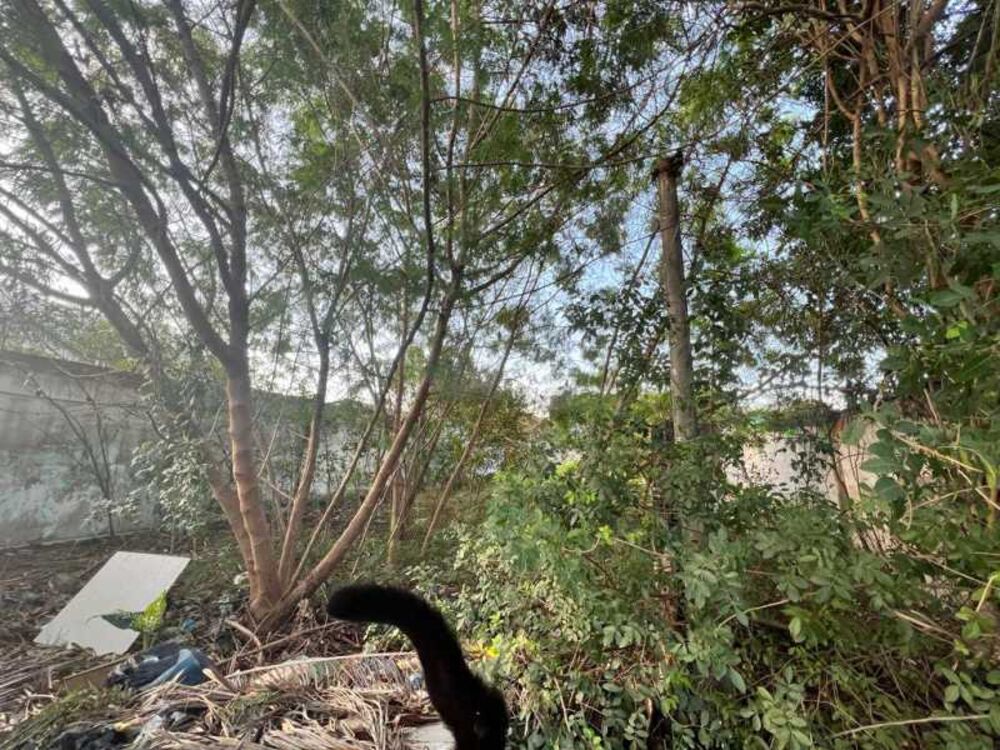 Terreno, 360 m² - Foto 2