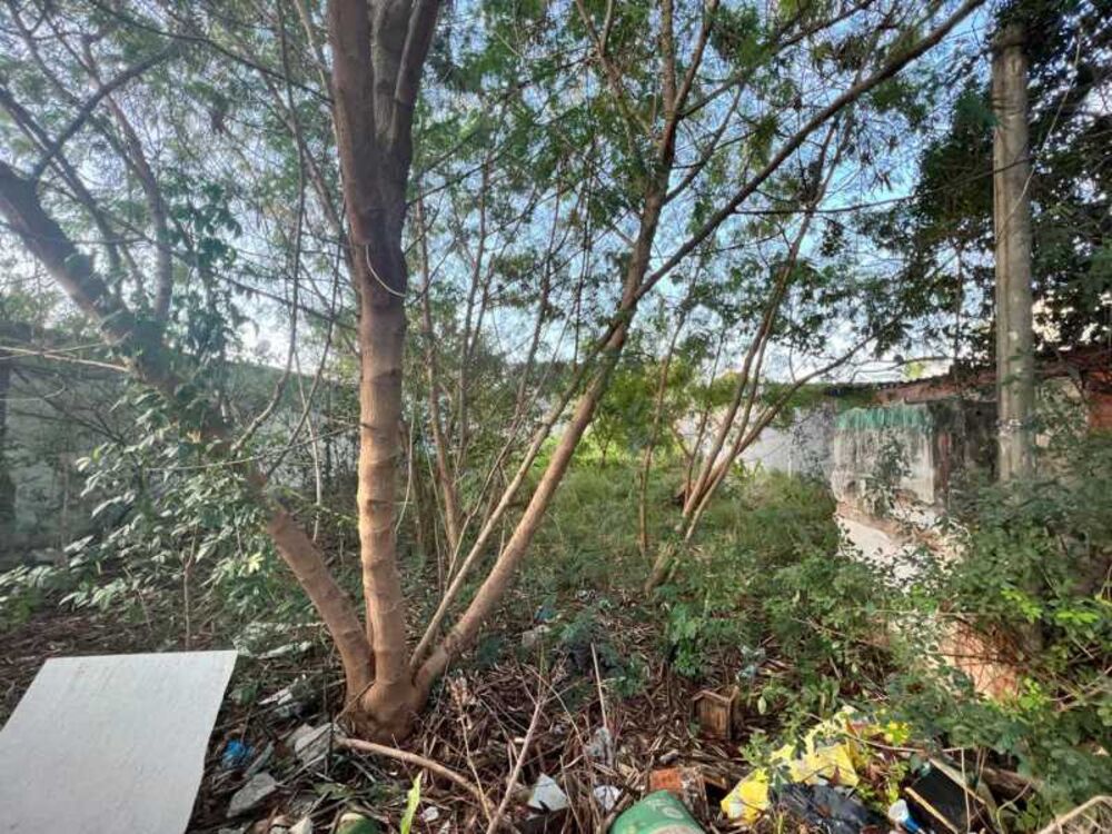 Terreno, 360 m² - Foto 3