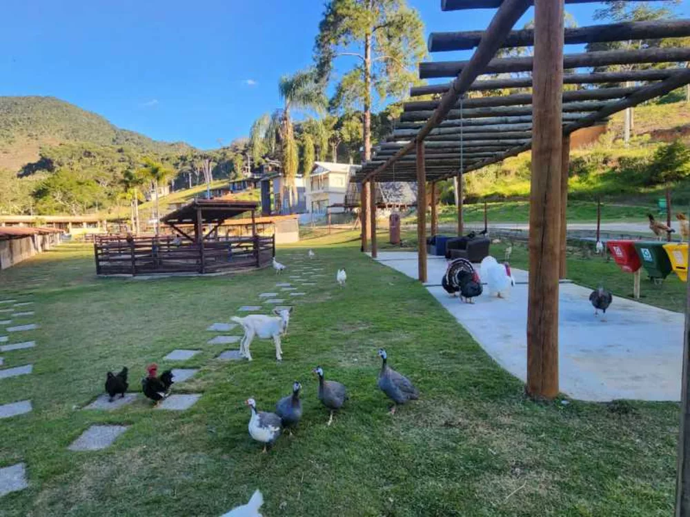 Terreno, 728 m² - Foto 6