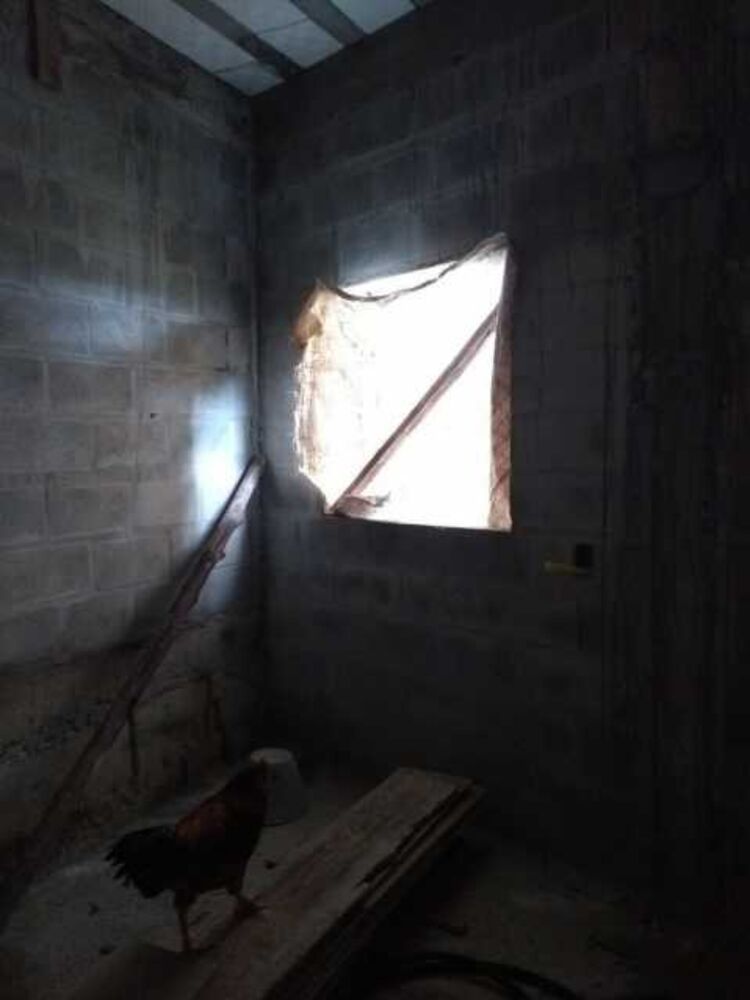 Casa, 3 quartos, 150 m² - Foto 12