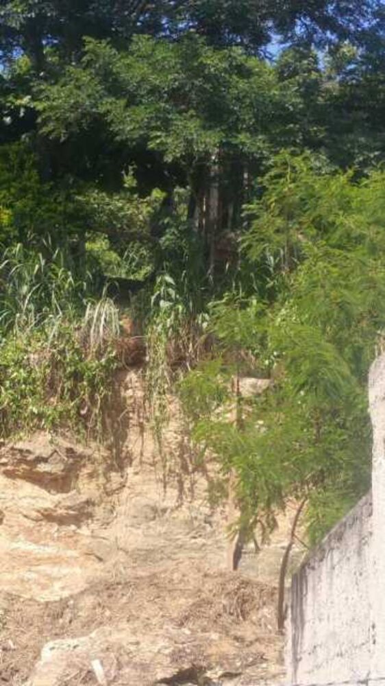 Terreno, 360 m² - Foto 8