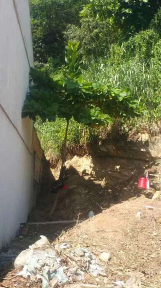 Terreno, 360 m² - Foto 5