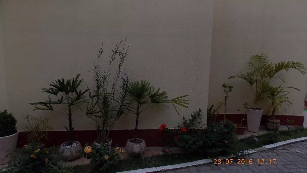 Casa, 2 quartos - Foto 22