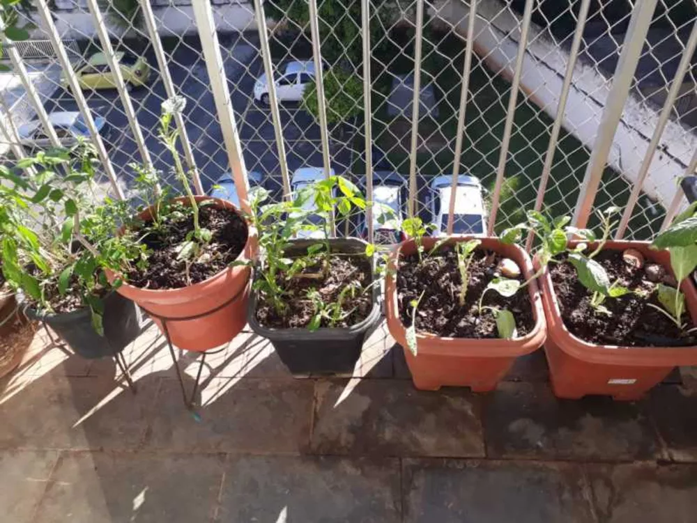 Apartamento, 2 quartos, 60 m² - Foto 10