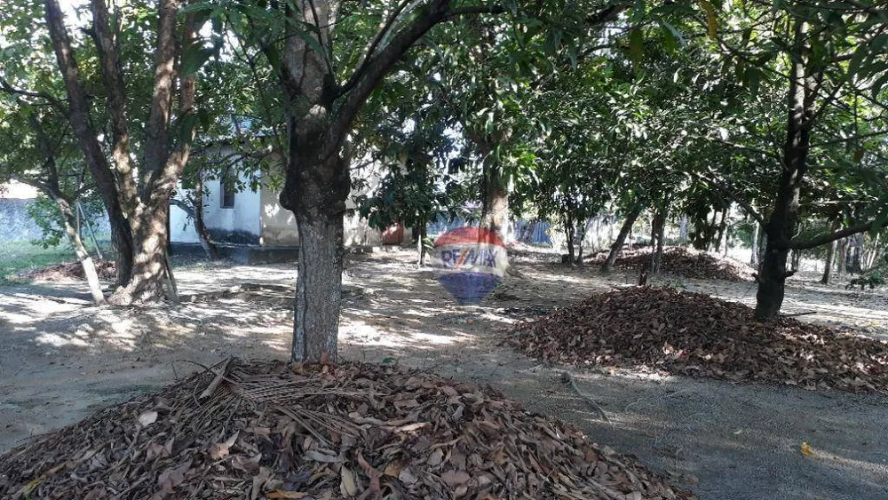 Terreno, 4922 m² - Foto 4