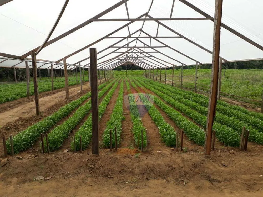Terreno, 35 hectares - Foto 1