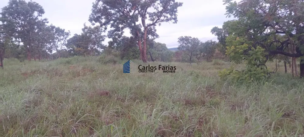 Chácara, 1 quarto, 2 hectares - Foto 6