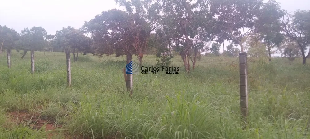 Chácara, 1 quarto, 2 hectares - Foto 8