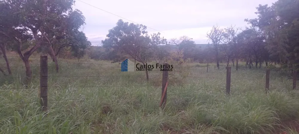 Chácara, 1 quarto, 2 hectares - Foto 6