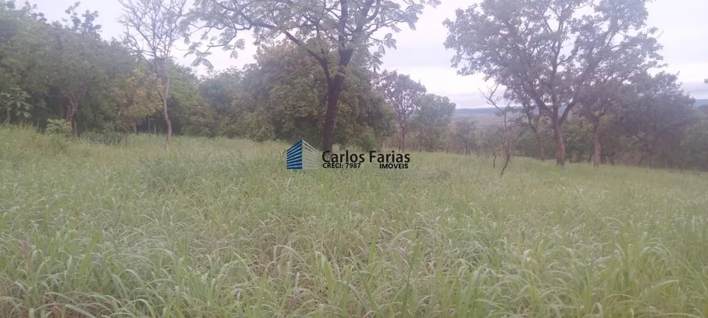 Chácara, 1 quarto, 2 hectares - Foto 7