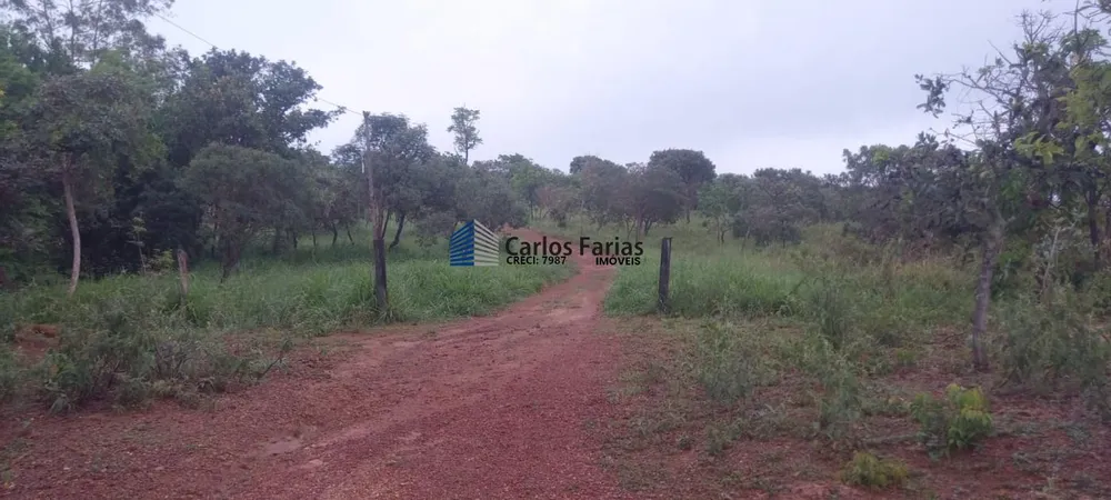 Chácara, 1 quarto, 2 hectares - Foto 4