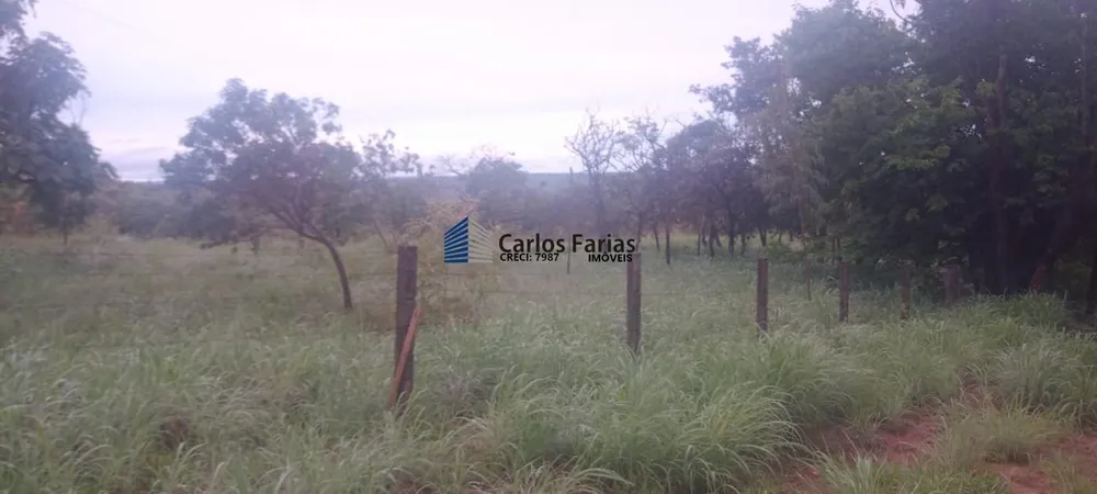 Chácara, 1 quarto, 2 hectares - Foto 3