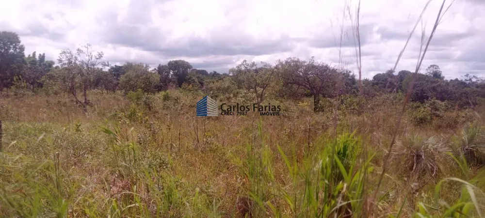 Chácara, 2 hectares - Foto 10