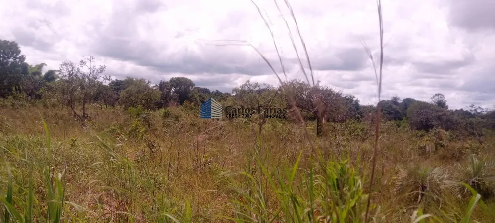 Chácara, 2 hectares - Foto 4