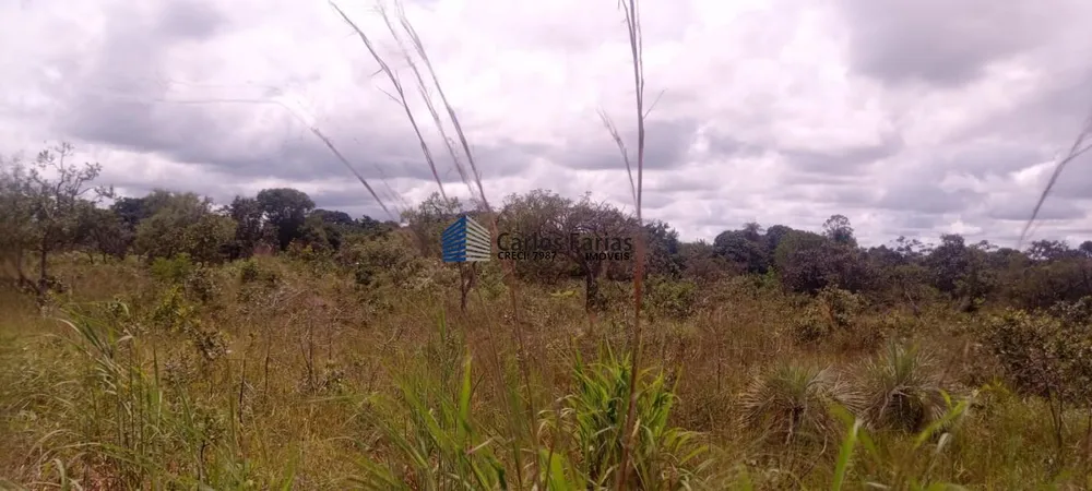 Chácara, 2 hectares - Foto 3